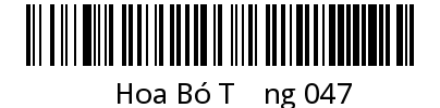 Hoa Bó Tặng 047